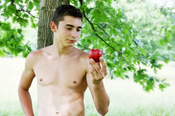Adam Dengan Apel Tangannya Bawah Pohon — Stok Foto
