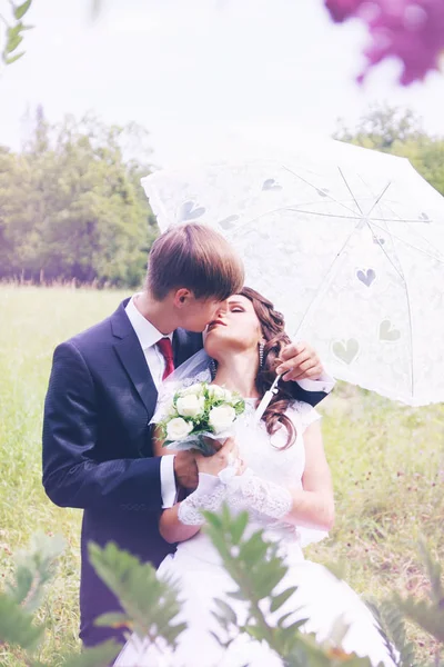 Braut Und Bräutigam Unter Einem Regenschirm Der Nähe Von Akazien — Stockfoto
