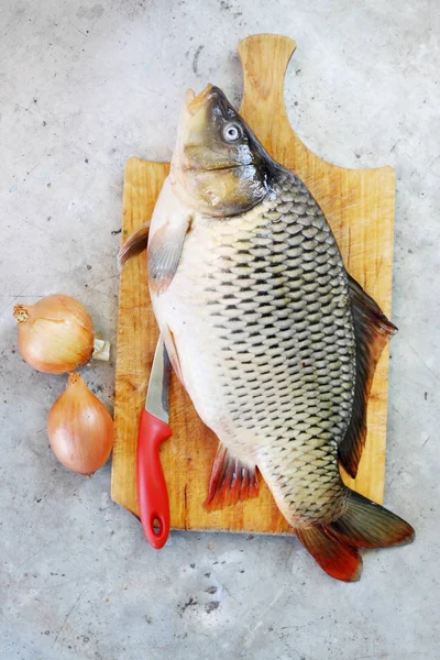 Велика Риба Короп Обробній Дошці — стокове фото