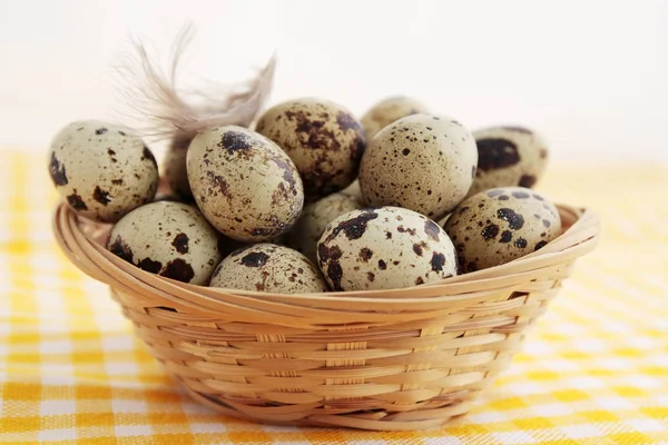 Quail Eggs Basket Plumelet — Stock Photo, Image