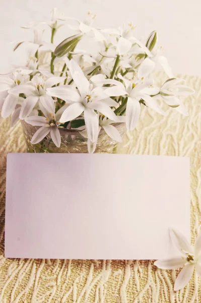 Vita Fina Vårblommor Whiteboard — Stockfoto