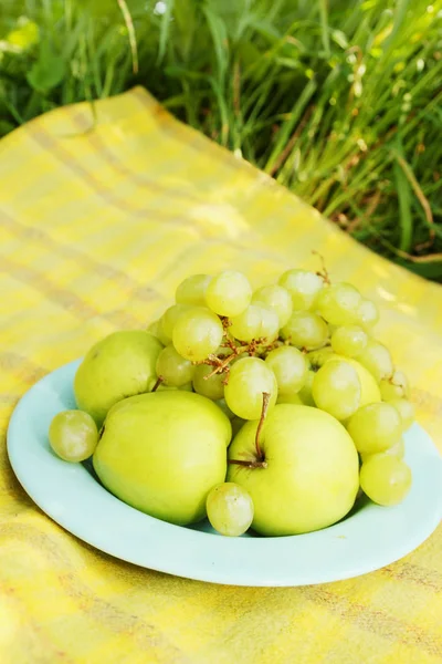 Fruta Fresca Para Piquenique Maçãs Uvas — Fotografia de Stock