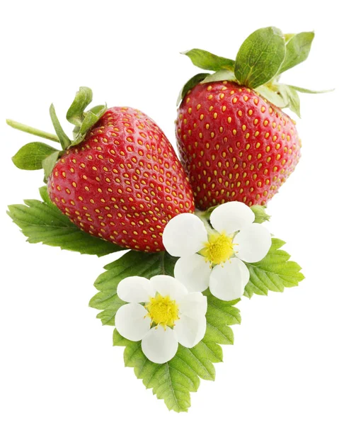 Rijpe Aardbeien Met Bladeren Bloemen Isolatie — Stockfoto