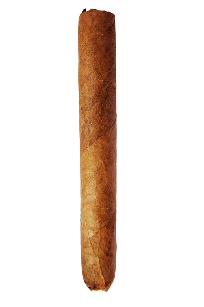 Cigarrillo Cubano Grande Aislado Sobre Fondo Blanco — Foto de Stock