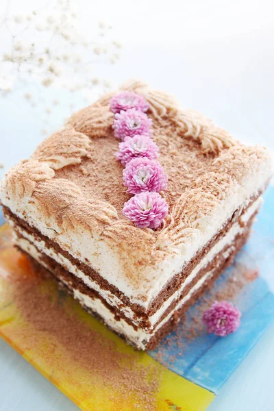 Schokoladenkuchen Mit Buttercreme Und Kakao — Stockfoto