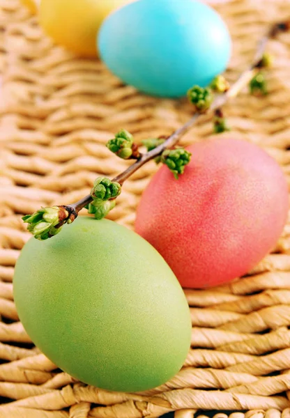 Раскрашенные Пасхальные Яйца Цветущей Вишневой Ветвью — стоковое фото