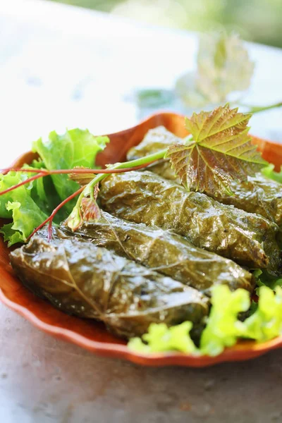 Dolma Hojas Uva Relleno Plato Cáucaso — Foto de Stock