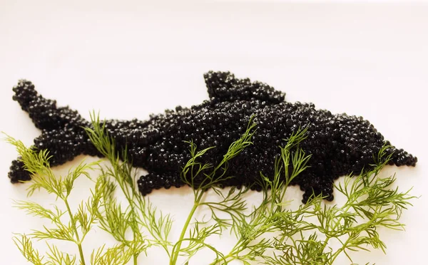 Caviar Preto Forma Peixe — Fotografia de Stock