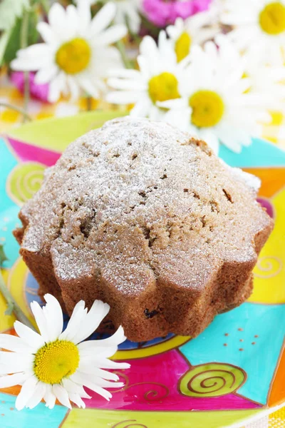 Tasty Dessert Chocolate Cake Powdered Sugar — Stock Photo, Image