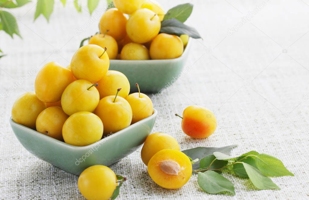 Fresh fragrant yellow plums, summer still life