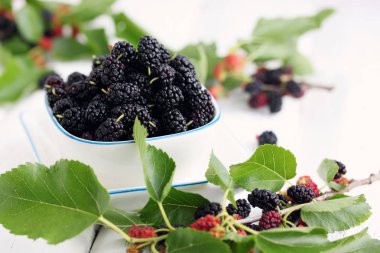 Beyaz bir tabak içinde taze siyah dut