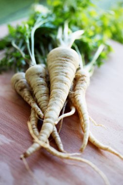 maydanoz kökü bir ahşap tahta üzerinde otlar ile