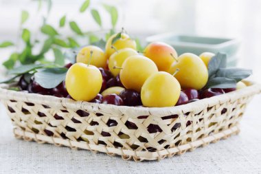 taze kokulu sarı Erik, yaz natürmort