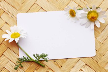 papatyalar hasır tahtası ile eski kartpostal