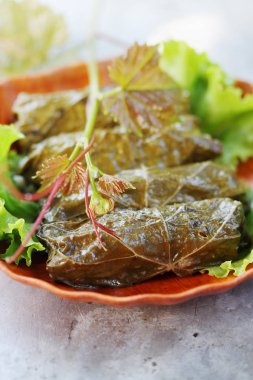 dolma üzüm yaprakları ve doldurma, çanak Kafkasya