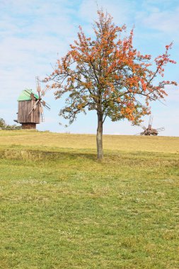 Eski değirmen pirogov, Ukrayna museum yakınındaki armut