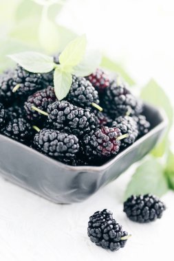 siyah bir plaka üzerinde olgunlaşmış Karadut