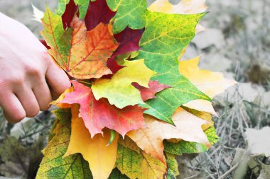 parlak sonbahar yaprakları elinde bir buket