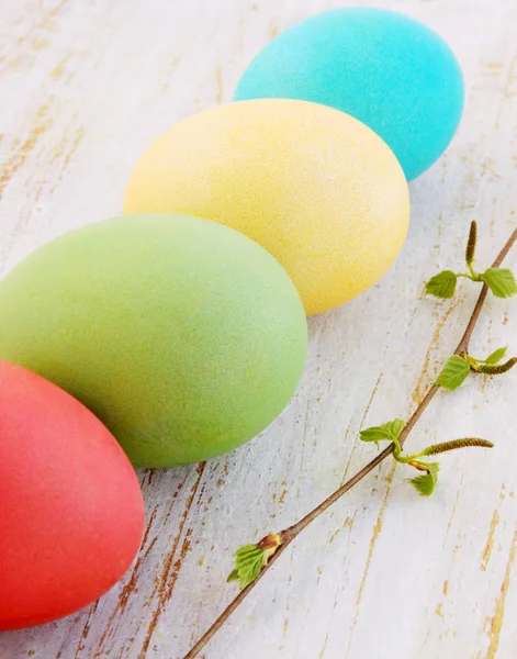 Huevos Pascua Pintados Con Una Rama Abedul Flor —  Fotos de Stock