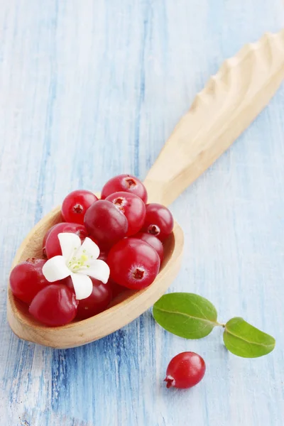 Cranberries Frescas Suculentas Uma Colher Madeira — Fotografia de Stock