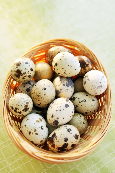 Mottled Fresh Quail Eggs Basket — Stock Photo, Image