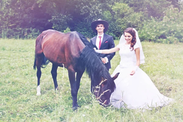 Bride Groom Walking Horse Field — Stock Photo, Image