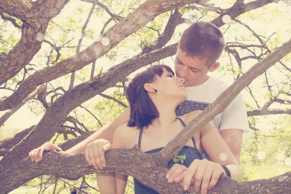 Pareja Romántica Abrazándose Bosque Bajo Árbol — Foto de Stock