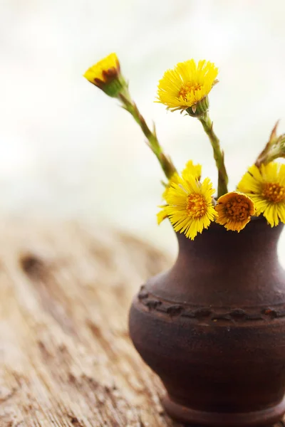 Flores Coltsfoot Cerámica Cerámica Hecha Mano — Foto de Stock