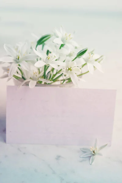 White Delicate Spring Flowers White Board — Stock Photo, Image