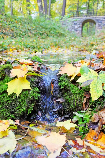 Beautiful Autumnal View Small Brook — Stock Photo, Image