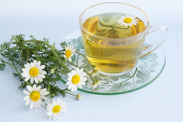 Örtte Kamomill Drog Healing Drink — Stockfoto