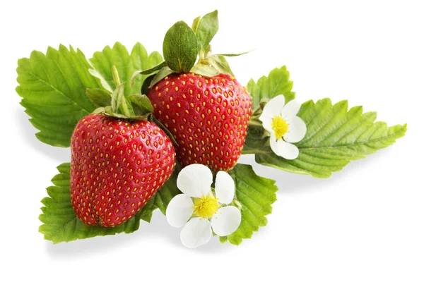 Rijpe Aardbeien Met Bladeren Bloemen Isolatie — Stockfoto