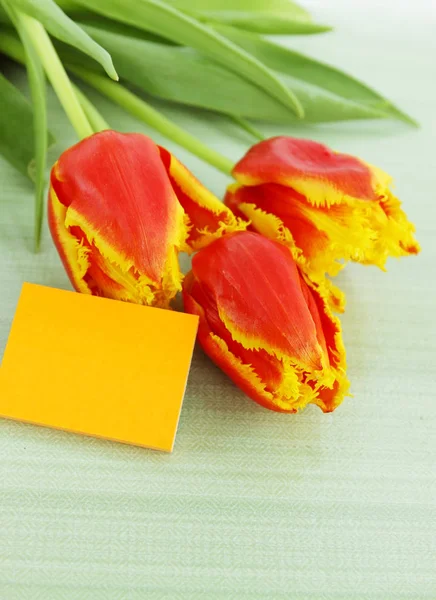Hermosos Tulipanes Naranjas Espacio Copia Tarjeta —  Fotos de Stock