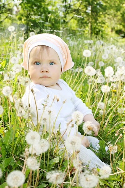 Bambina Siede Prato Denti Leone — Foto Stock