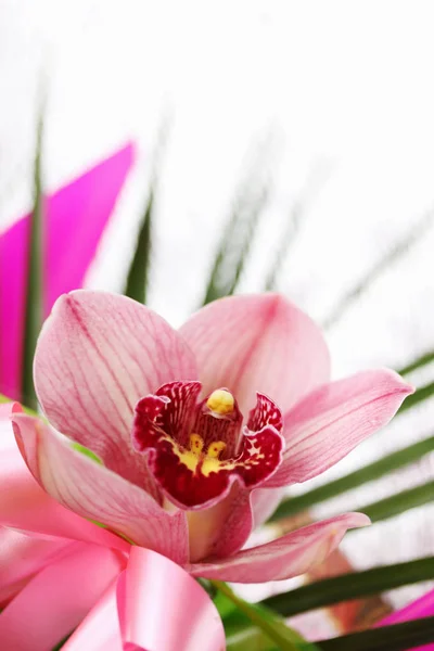 Красивая Розовая Орхидея Орхидеевые Букете — стоковое фото