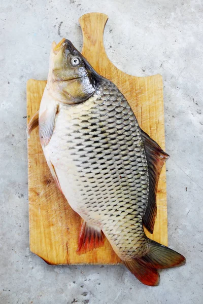 Big Fish Carp Cutting Board — Stock Photo, Image