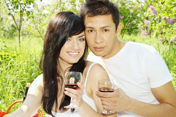 Young Couple Picnic Drink Wine — Stock Photo, Image