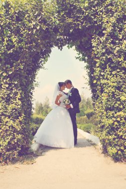 Gelin ve damat hedge kemerin altında