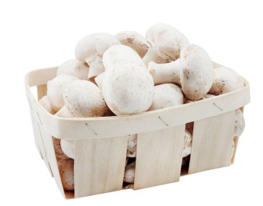 agarics üzerinde beyaz sepet