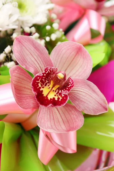 Bellissima Orchidea Rosa Orchidaceae Bouquet — Foto Stock