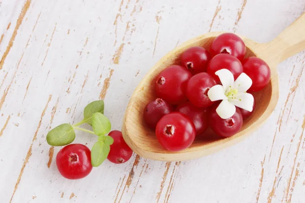 Cranberries Frescas Suculentas Uma Colher Madeira — Fotografia de Stock