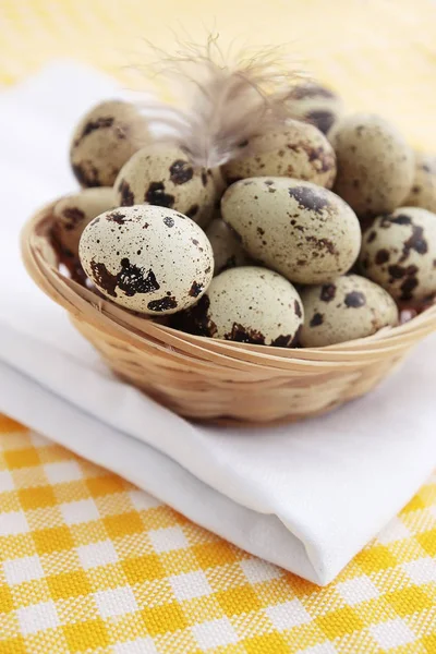 Quail Eggs Basket Plumelet — Stock Photo, Image