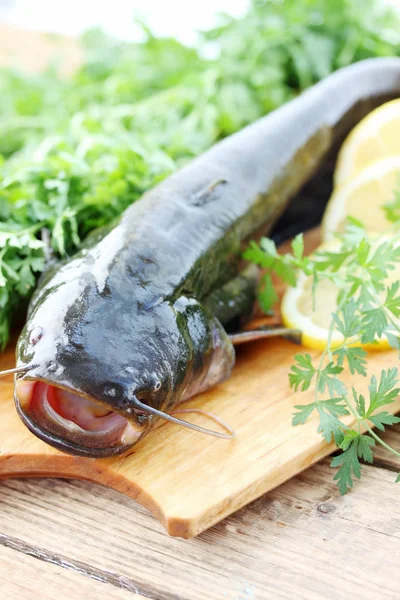 Fresh River Catfish Greens Vegetables — Stock Photo, Image