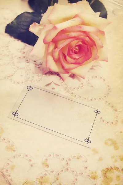Eppure Una Rosa Una Carta Bianca Vintage — Foto Stock