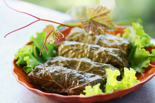 Dolma Druiven Bladeren Vulling Schotel Kaukasus — Stockfoto