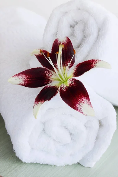 Krásná Lily Bílými Nadýchanými Ručníky Lázeňské Zátiší — Stock fotografie