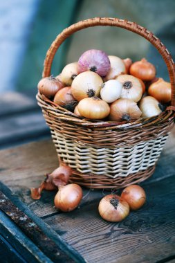 bir hasır sepet üzüm üzerinden küçük soğan