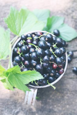 taze Siyah frenk üzümü eski bir metal kupa 