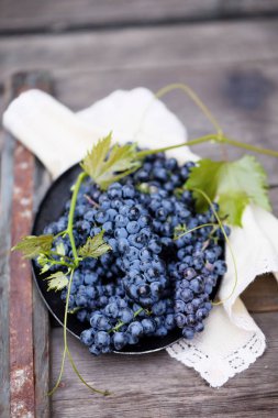 Eski bir şarap çeşitleri Cabernet Sauvignon üzüm vardır