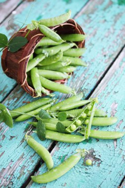 Huş kabuğu yapılmış sepet içinde yeşil bezelye